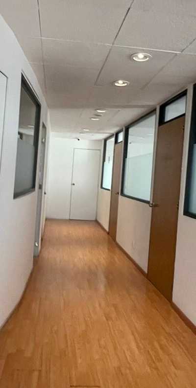 oficinas pasillo musa shapewear
